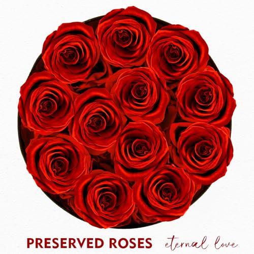 Impouo Forever Flowers, 12 Roses in A Box, Real Preserved Roses, Birthday Gift for Women, Mother's Day, Anniversary, Red Rose (Red, 12 Rose) - color: Red, size: 12 Rose
