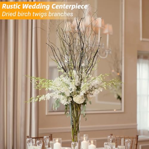 30Pcs Real Dried Birch Twigs - 16” Decorative 100% Natural Birch Branches for Easter Vases, Curly Willow Branches, DIY, Floral Arrangement, Twig Wreath, Centerpiece, Rustic Home Decor - size: 30