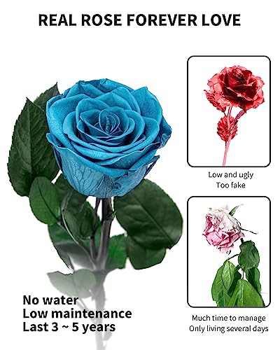 Loyal Blue Flowers for Delivery Prime, Preserved Blue Roses Flower Gifts for Women, Real Roses Single Rose Gifts for Her, Mom Birthday Gifts from Daughter, Valentines Flowers - color: 07-loyal Blue