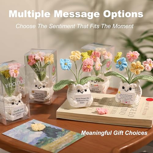 YOOJEE Forget-Me-Not Crochet Flower Potted Plant Gift | Difference You Make Gift, PET Display Box, Teacher Appreciation, Coworker, Employee, Thank You Gift, Handmade Desk Decor - color: E-never Forget the Difference You Make