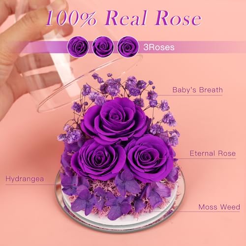 Mothers Day Flowers Gifts for Mom Flowers for Delivery Preserved Flowers Forever Real Fresh Roses in Glass Angel Figurines Birthday Gifts for Women Anniversary Present for Grandma Wife from Daughter - color: Classic Purple (Rose, Baby's Breath, Hydrangea)