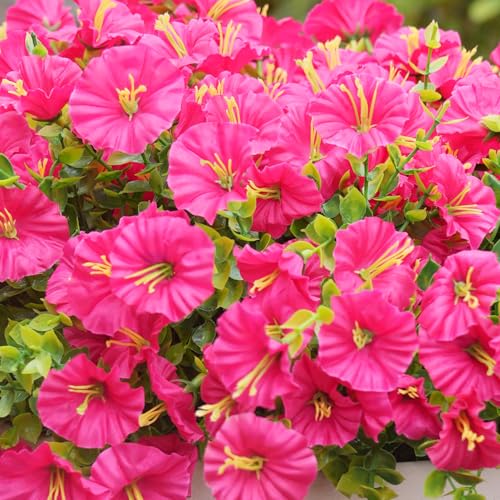 Artificial Flowers for Outdoors, UV Resistant Fake Silk Morning Glory, Realistic Faux Plants for Outside Porch Patio Window Box Hanging Planter (16, Hot Pink) - color: Hot Pink