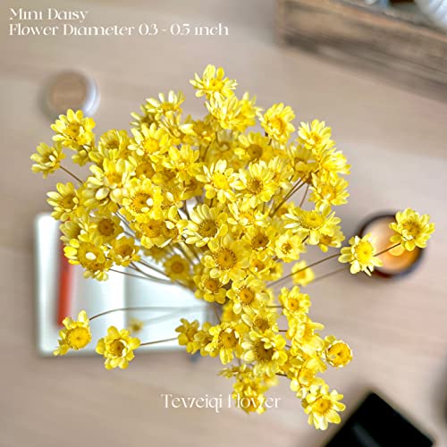 Natural - Dried - Flowers Brazilian Small Star Daisy Dried Decorative Mini Chamomile Bouquet for Wedding Floral Arrangements Home Decorations Valentine's Day Gifts (200 Stems) (Yellow ) - color: Yellow