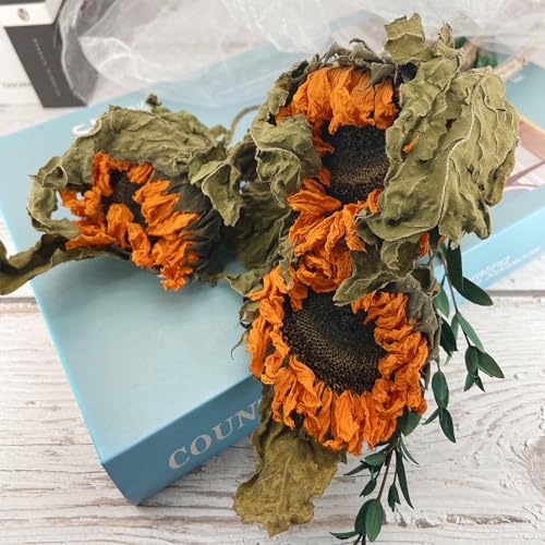 L'BREVOGA Dried Sunflowers with Stem, 3 pcs Natural Dried Sunflower for Floral Arrangements Home Wedding Party Decoration (15 Inches)