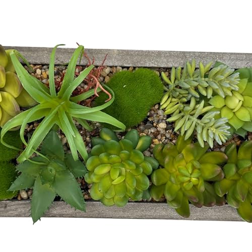Galt International Faux Assorted Succulent in 31" Wood Tray w/Handles w/Brown Rocks | Grey Wood Tray, Artificial Green Moss, Dining Coffee Table Centerpiece (Updated 2026 Packaging) - color: Brown Rocks