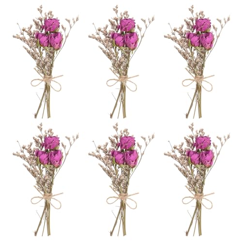 PATIKIL Mini Dried Flower Bouquet, 6 Pcs Rose Natural Wildflower with Stem Decor Baby's Breath Boho Floral Plant Flower for Crafts DIY Photo Props Gift Wedding Decor, Rose Red - color: Rose Red