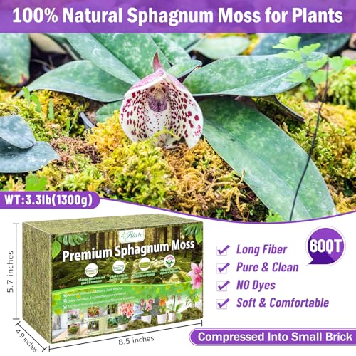 Riare 3.3LBS Premium Sphagnum Moss for Plants- 60QT Natural Dried Plant Moss for Potted Plants, Orchid Moss for Repotting, Soft Green Decorative Moss for Succulents, Reptiles & DIY Crafts - color: 60 QT(Appx.3.3lbs)
