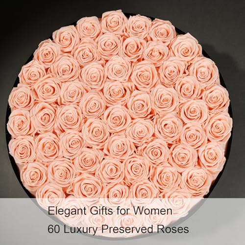 Gifts for Women – NATROSES 60 Preserved Roses in Luxury Black Velvet Box, Preserved Flowers for Delivery Gift for Her, Elegant Rose for Birthday, Mother’s Day, Christmas (Champagne Pink) - color: Champagne Pink, size: 60 Roses