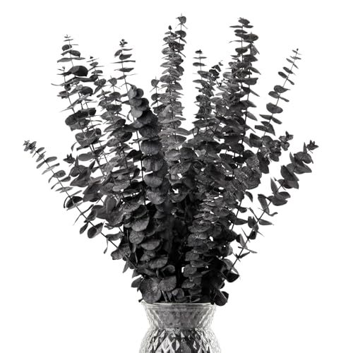 Black Eucalyptus Stems Decor,20PCS 17" Real Dried Preserved Eucalyptus Stems Plant for Home Vase Wedding Festival Floral Fall Halloween Arrangement Decorations - color: Black, size: 20Pcs Eucalyptus Stems