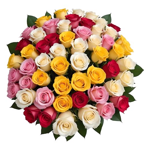 Pre-Book 50 Rainbow Roses Assorted Mixed Color | Bulk Roses by Arabella Bouquets | Real Fresh Flowers for Delivery, Gift for Birthday, Women, Congratulations, Anniversary, Mother's Day - color: Assorted, size: 50 Stems