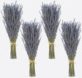 Dried Lavender 4 Bunches 100% Fresh Natural Purple Bouquet Flowers for Bathroom Photo Props Crafts (200g/7oz), 15-17" for Shower Weeding Vase Decor, Aromatherapy Home Fragrance(400-440 Stems Total) - size: 4 Bunches Lavender