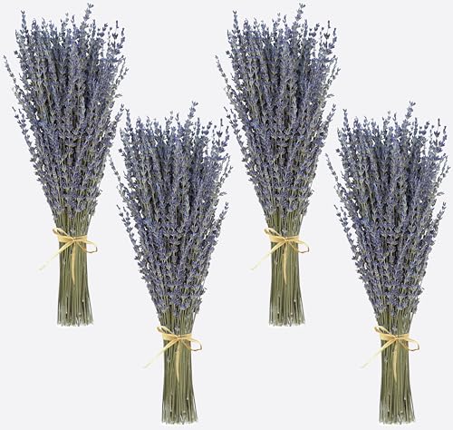 Dried Lavender 4 Bunches 100% Fresh Natural Purple Bouquet Flowers for Bathroom Photo Props Crafts (200g/7oz), 15-17" for Shower Weeding Vase Decor, Aromatherapy Home Fragrance(400-440 Stems Total) - size: 4 Bunches Lavender