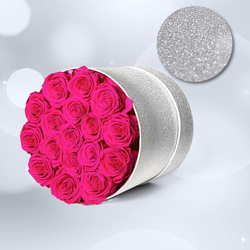 Prifroti 17 Hot Pink Flowers in Glitter Box, Birthday Gifts for Women, Preserved Flowers, Mothers Day Roses Gift for Mom - color: Hot Pink | Glitter Box, size: 17 Roses