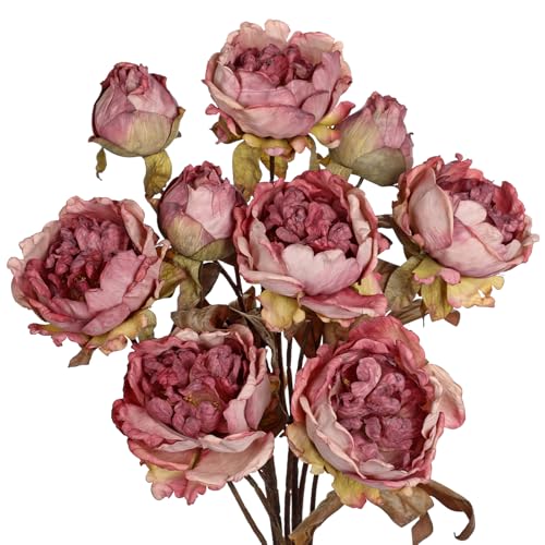 Briful Artificial Dried Look Fall Peony Flowers 3PCS 27.5in Tall Dusty Pink Vintage Silk Peony Bouquet Realistic Fake Peonies Floral Stems for Autumn Home Wedding Vase Centerpieces Arrangements Decor - color: Dusty Pink