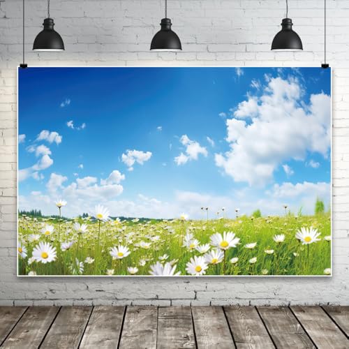 20x10ft Spring Backdrop for Photography Blue Sky White Clouds Daisy Flowers Wedding Themed Party Backdrop Flowers Field Natural Scenery Background Outdoor Garden Floral Blossom Video Props - size: 20x10ft