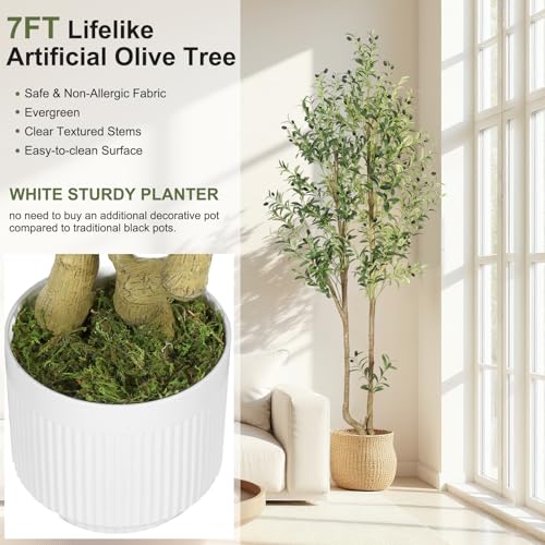 HZXGCP Olive Tree Olive 7 feet, Artificial Olive Tree with White Pot, Fake Tree with 1882 Dense Leaves & 96 High-Simulated Olive Fruits - Easy Assembly, Low Maintenance (Olive Tree 7ft) - color: Olive Tree 7ft