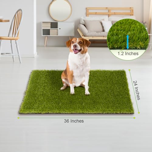 CooRug Fake Grass, 36 x 24 Inches Artificial Grass for Dogs, Realistic Turf for Indoor Outdoor Door Mat Balcony Patio Lawn Decoration - size: 36" x 24"
