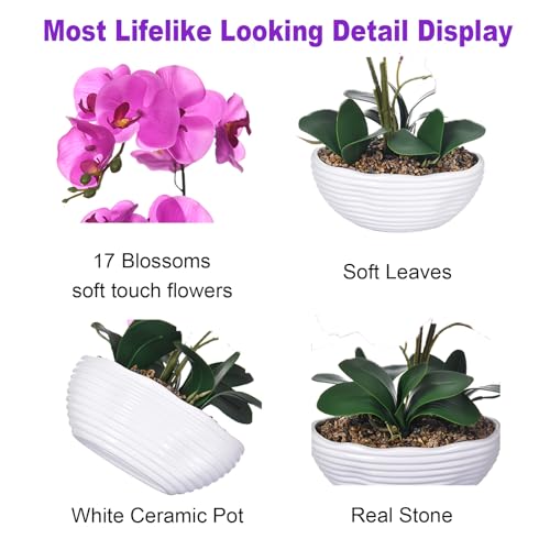 19" H Phalaenopsis Faux Orchid Plant Silk Orchid Centerpiece Artificial Floral Arrangement in Ceramic Pot (Fuchsia) - color: Fuchsia