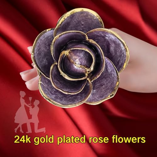 SW 24k Gold Dipped Real Rose Lasted Forever with Stand Gift for Women, Mom, Her, Christmas, Valentines Day, Mothers Day, Birthday - Purple Gold Rose - color: Blue