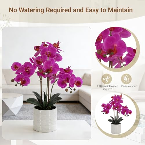 Fake Orchid Plant 23" Tall, Realistic Touch Leaves, Potted Phalaenopsis Artificial Plants Indoor for Home Decor Small Office Home Living Room-Dark Pink - size: 23 Inch Phalaenopsis Orchid Dark Pink