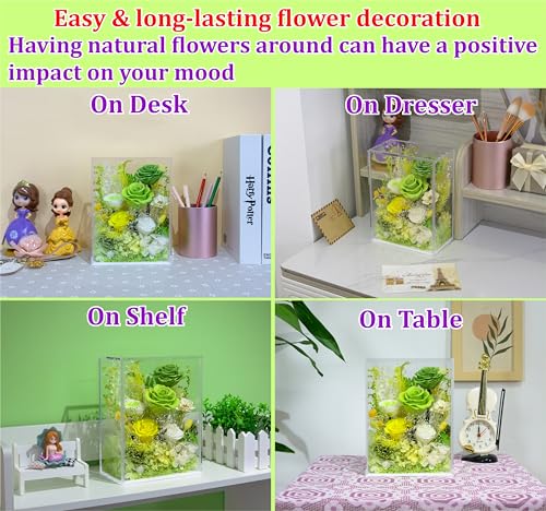 Valley of Rain & Forest Long-Lasting Real Flowers With Delivery | Handcrafted Preserved Rose Bush For You to Send Love for All Occasions, Indoor Floral Decor (Green Rose Spring-themed) - color: Green Rose