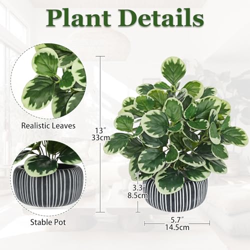 13" Artificial Plants Indoor Small Fake Plant in Ceramic Pot, Silk Plants for Home Decor Indoor, Faux Peperomia Potted Plant for Shelves, Desks, Home, Room, Office, Bedroom, Entryway, Tabletop Decor - color: #Green #1