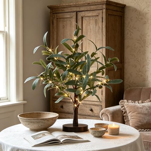 Hairui Lighted Small Olive Tree Battery Operated or USB 18in 50 Warm White LED with Timer, Light Up Table Top Artificial Greenery Tree with Fairy Lights for Wedding Holiday Home Christmas Decoration - color: 50l-green