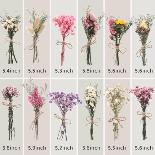 12 Pack Mini Dried Flowers for Vase Multicolor Wedding Various Mini Bouquet Dried Small Wildflowers Natural Flowers Bulk for Crafts DIY Decor