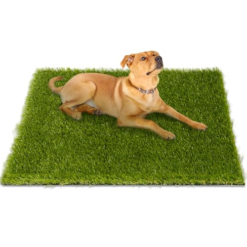 CooRug Fake Grass, 48 x 32 Inches Artificial Grass for Dogs, Realistic Turf for Indoor Outdoor Door Mat Balcony Patio Lawn Decoration - size: 48" x 32"