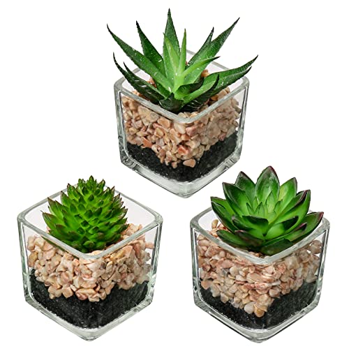 Briful Set of 3 Succulents Plants Artificial in Glass Pots Small Fake Succulents Plants Faux Plants Indoor for Home Office Table Desk Shelf Room Decor - color: Succulents #01