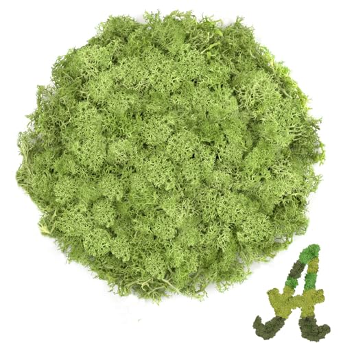 Preserved Reindeer Moss, 3.5 oz Chartreuse Decorative Craft Moss for Potted Plants, Fairy Gardens, DIY Wall Art, Floral Arrangements, Christmas Easter Wedding Holiday Decor - color: Chartreuse, size: 3.5 OZ