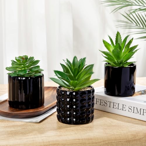 Briful Succulents Plants Artificial in Black Ceramic Pots (Set of 3), Small Fake Plants for Home Office Desk Decor – Modern Mini Potted Succulents for Bathroom, Bedroom, Living Room Table, Shelf - color: Black