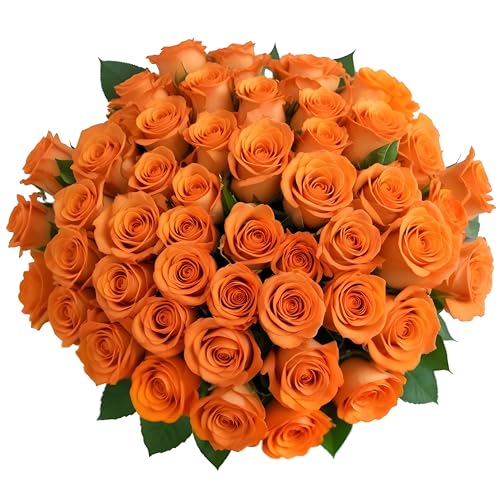 50 Orange Roses | Bulk Roses by Arabella Bouquets | Real Fresh Flowers for Delivery, Gift for Birthday Women, Congratulations, Anniversary, Thank You, Mother's Day - color: Orange, size: 50 Stems