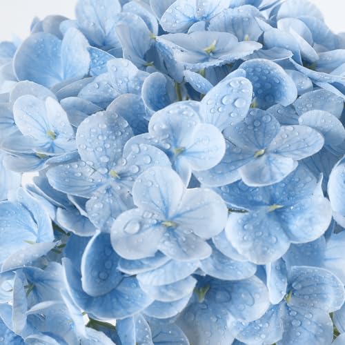 Coferset 3pcs Baby Blue Lifelike Hydrangea Artificial Flowers 22inch Real Touch Faux Hydrangea Flower Stem for Home Party Wedding Floral Filler Arrangements Ceterpieces Bouquets - color: Baby Blue, size: 3pcs
