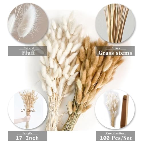 Bunny Tails Dried Flowers 100pcs Dried Pampass Grass Decor Bunny Tail Floral Stems 17 Inch Dried Flowers for Boho Decor Home Wedding Decoration Plants (Teal Blue) - color: Teal Blue