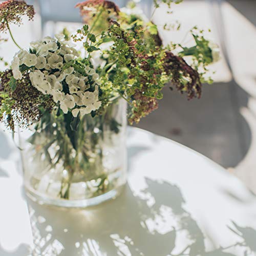 WGV Cylinder Glass Vase, Diameter 5", Height 5", Clear Glass Floral Planter Container, Floating Candle Holder for Wedding Party Event Home Office Decor, 1 Piece - size: 5"x5"H CL