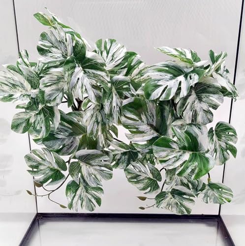 Reptile Plants for Terrarium, Amphibian Habitat Decor Artificial Hanging Plants with Suction Cup, Artificial Plants for Gecko Chameleon Snake Tortoise Tank Accessories. 2-Pack (Monstera) - color: Monstera