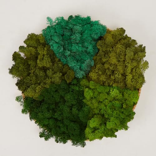 Preserved Reindeer Moss Natural Green DIY Kit Gardenning Art Wall Decor Florist Decor Easter Table Decor Wedding - color: Color Mix-Green-(03+04+06+10+11), size: 1 lb