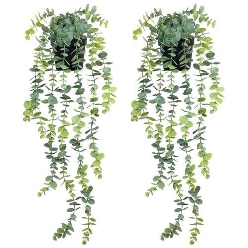 LOYWREE 2 Pack Fake Hanging Plants Artificial Eucalyptus Small Potted Long Vine Plant for Indoor and Outdoor Shelves, Walls, Rooms, Homes, Offices, and Gardens Decor (Black Pot) - color: Eucalyptus, size: 2Pack