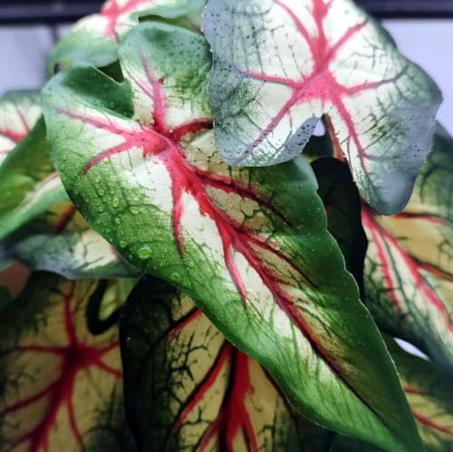 Reptile Plants for Terrarium, Amphibian Habitat Decor Artificial Hanging Plants with Suction Cup, Artificial Plants for Gecko Chameleon Snake Tortoise Tank Accessories. 2-Pack (Alocasia odora -A) - color: Alocasia Odora-a