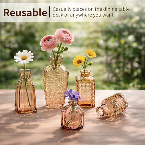 12 Pack Glass Bud Vase Set, Small Flower Vase Set Bud Vases for Wedding Centerpiece Table Decor, Vintage Small Vases for Room Home Dining Party Table Center Decor (Amber Set, 12 Pack) - color: Amber Set, size: 12 Pack