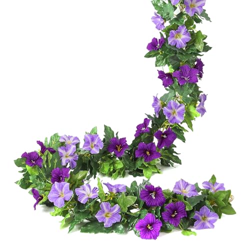 Floweroyal 2 Pack Artificial Flower Garlands 15.8FT Fake Morning Glory Vines Silk Flowers Hanging Garland Ivy for Wedding Arch Party Home Garden Wall Decor (Purple) - color: Morning Glory-purple, size: 2pcs