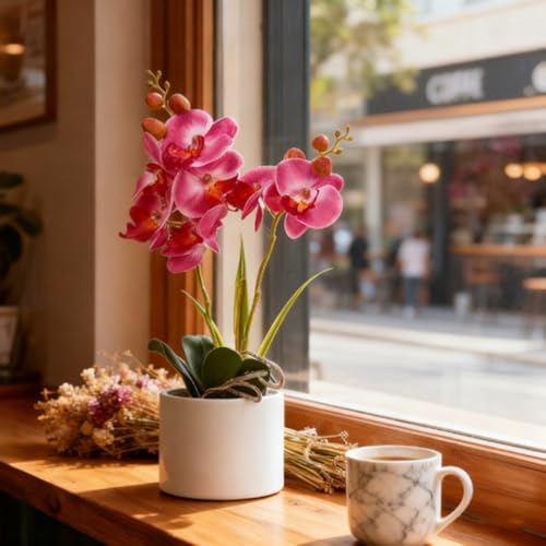 Jusdreen Artificial Purple Orchid, Phalaenopsis in Ceramic Pot with Vase for Home Office Table Decor, Flower Centerpiece - color: Z/Ceramic-purple