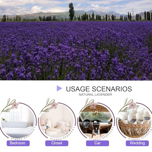 Dried Lavender Flowers, Dry Lavender Buds Bulk for Wedding Toss, Crafts, Sachets - 1/4 Pound - size: 1/4 Pound
