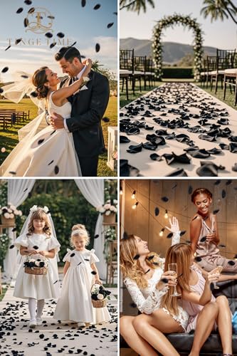 TINGE TIME 200pcs Silk Rose Petals Black Flower Petals for Wedding, Flower Girl Basket, Aisle Runner, Romantic Dinner Centerpieces, Proposal, Party Confetti - color: Black
