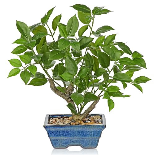 Fake Plants Small Artificial Plants Indoor 15.3" Fake Potted Plants Realistic Faux House Topiary Plants with Blue Ceramic Pot for Home Office Bathroom Kitchen Farmhouse Table Centerpieces Shelf Decor - color: Green -Blue Pot