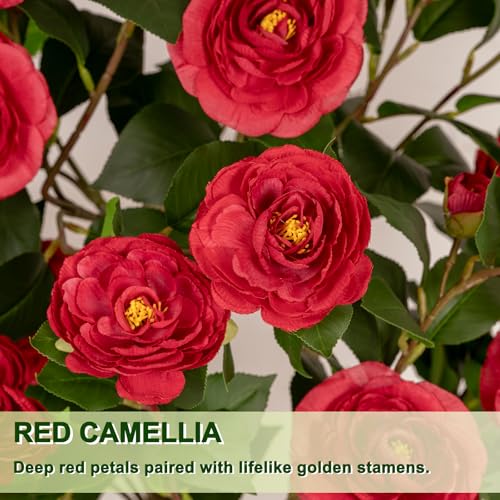 VIVATREES 5ft Artificial Camellia Tree, 60'' Tall Faux Camellia Plant with Red Flowers, UV Resistant Indoor Outdoor Fake Tree with White Planter Pot Included for Living Room Patio Decor