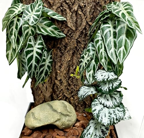 Woyrise 2 Pack Reptile Plants, Terrarium Hanging Plant Vines, Artificial Leaves with Suction Cup, Bearded Dragon Tank Accessories for Gecko Lizard Snake Frog Tortoise Decorations - Alocasia Velvet - color: Alocasia Velvet