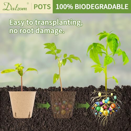 Dalzom® 60Pcs 3.1” Peat Pots with 60Pcs Plant Labels, Biodegradable Pots for Seedlings with Drainage Holes, Garden Plant Nursery Pots Seed Starting Trays - size: 3.1"