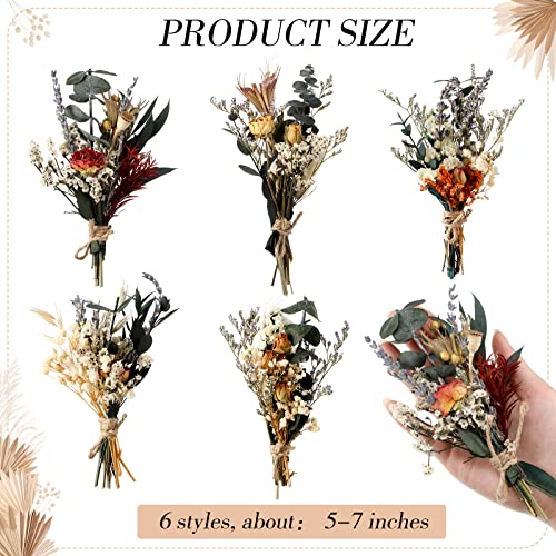 Fabbay 6 Pcs Mini Dried Flower Bouquets Boho Wedding Dried Flowers for Bridesmaid Proposal Mini Handmade Flowers Decor for Vase Crafts DIY Photo Decorations for Centerpieces Gift